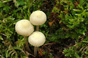 BUITEN BEELD Foto: 247021