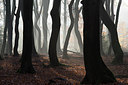BUITEN BEELD Foto: 247032