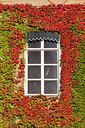BUITEN BEELD Foto: 247042