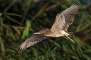 BUITEN BEELD Foto: 247050