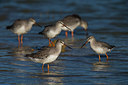 BUITEN BEELD Foto: 247087