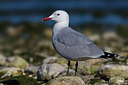 BUITEN BEELD Foto: 247157