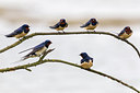 BUITEN BEELD Foto: 247165