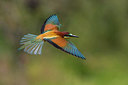 BUITEN BEELD Foto: 247209