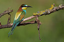 BUITEN BEELD Foto: 247221