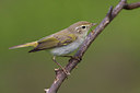 BUITEN BEELD Foto: 247330