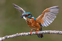 BUITEN BEELD Foto: 247401