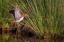 BUITEN BEELD Foto: 247402