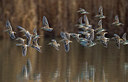 BUITEN BEELD Foto: 247410