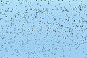 BUITEN BEELD Foto: 247449