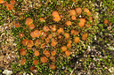 BUITEN BEELD Foto: 247509