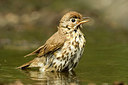BUITEN BEELD Foto: 247514