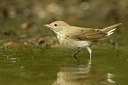 BUITEN BEELD Foto: 247516