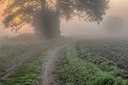 BUITEN BEELD Foto: 247546