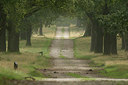 BUITEN BEELD Foto: 247551