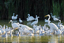 BUITEN BEELD Foto: 247636