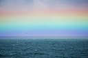 BUITEN BEELD Foto: 247641