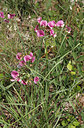 BUITEN BEELD Foto: 247668