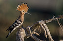 BUITEN BEELD Foto: 247741