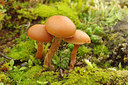 BUITEN BEELD Foto: 247767