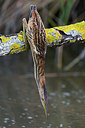 BUITEN BEELD Foto: 247775