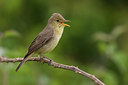 BUITEN BEELD Foto: 247814