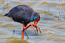 BUITEN BEELD Foto: 247860