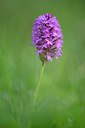 BUITEN BEELD Foto: 247921