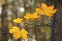 BUITEN BEELD Foto: 248041