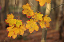 BUITEN BEELD Foto: 248042
