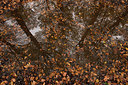 BUITEN BEELD Foto: 248051
