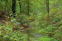 BUITEN BEELD Foto: 248078