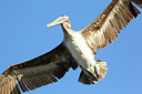 BUITEN BEELD Foto: 248129