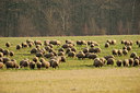 BUITEN BEELD Foto: 248166
