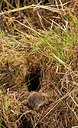 BUITEN BEELD Foto: 248195