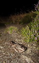 BUITEN BEELD Foto: 248242