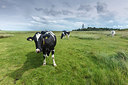 BUITEN BEELD Foto: 248349