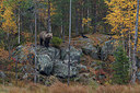 BUITEN BEELD Foto: 248352