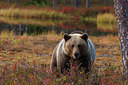 BUITEN BEELD Foto: 248354