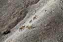 BUITEN BEELD Foto: 248388