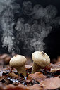 BUITEN BEELD Foto: 248430