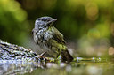 BUITEN BEELD Foto: 248449
