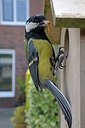 BUITEN BEELD Foto: 248498