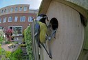 BUITEN BEELD Foto: 248499