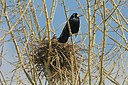 BUITEN BEELD Foto: 248502