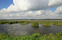 BUITEN BEELD Foto: 248522