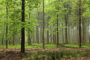 BUITEN BEELD Foto: 248532