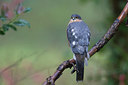 BUITEN BEELD Foto: 248579