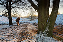 BUITEN BEELD Foto: 248703