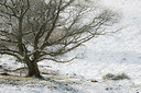 BUITEN BEELD Foto: 248750